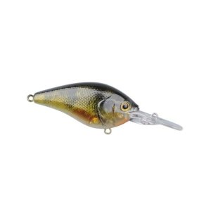 SPRO Ikiru Crank SL SFL Yellow Perch Maket Yem