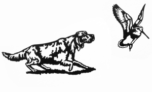 SETTER & ÇULLUK DUVAR SÜSÜ