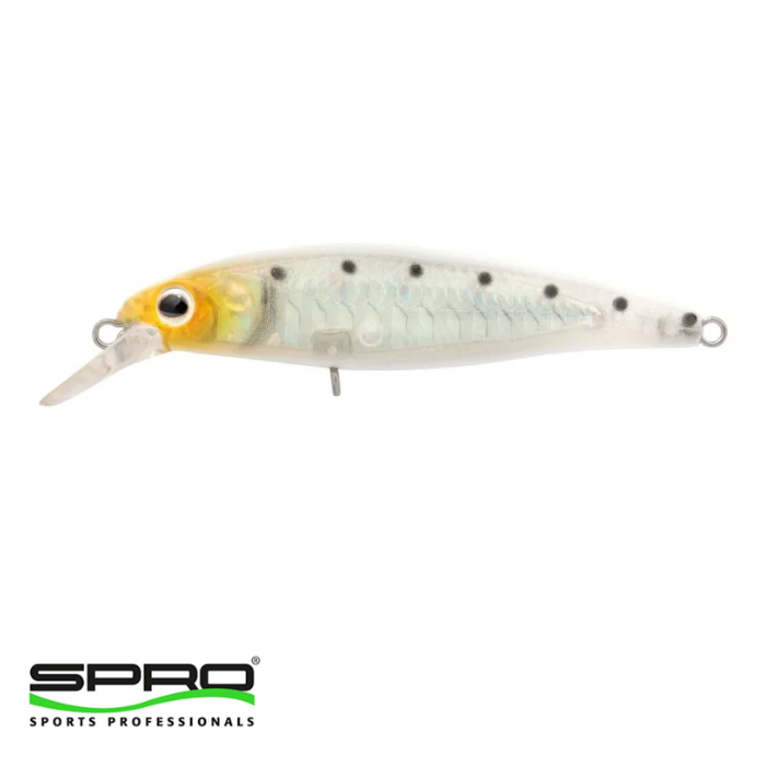 SPRO Ikiru Flat 65 FS Shirazu 1/1