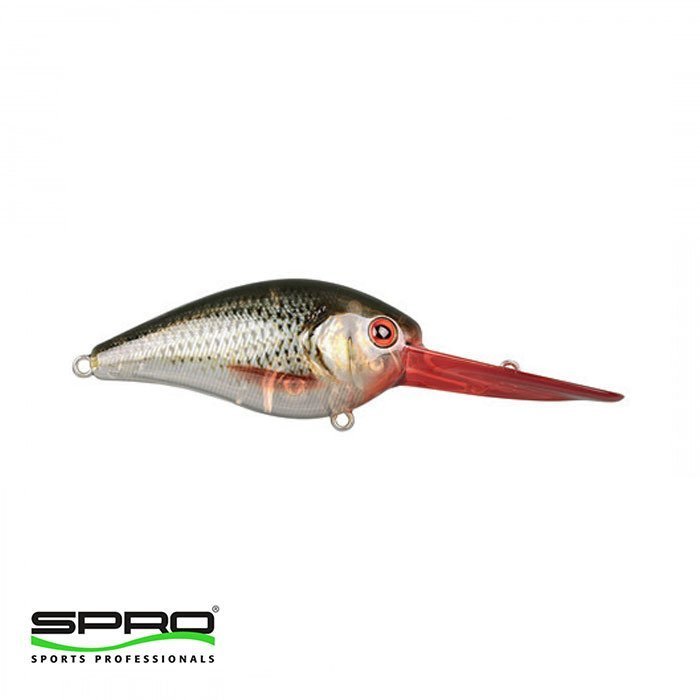 SPRO Ikiru Crank 60 XXL Roach Maket Yem