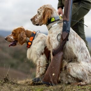 BERETTA ULTRALEGGERO SUPERPOZE AV TÜFEĞİ