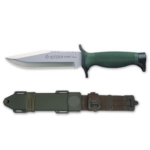 AITOR BOWIE JUNIOR NATO BICAK