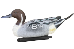 KIL KUYRUK ÖRDEK MÜHRESİ