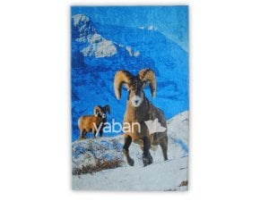 YABAN KOÇU DESENLİ DEKORATİF HALI