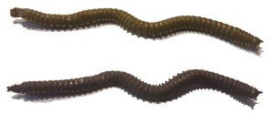 Fladen Vermz Kum Solucanı 9.5 cm 15P 02