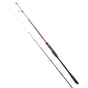 RYUJI SPECTRA SP 1.98M 70-300GR 2P BOT KAMIŞI