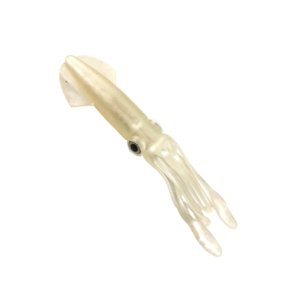 DFT Sasi Kalamar 10cm Renk:SP39 Beyaz 1/25