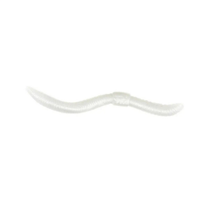 SPRO Dendrobaena Pearl Solucan Yumuşak Yem