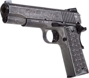 SIG SAUER 1911 WE THE PEOPLE BLOWBACK HAVALI TABANCA