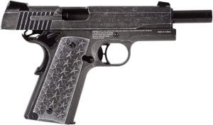 SIG SAUER 1911 WE THE PEOPLE BLOWBACK HAVALI TABANCA