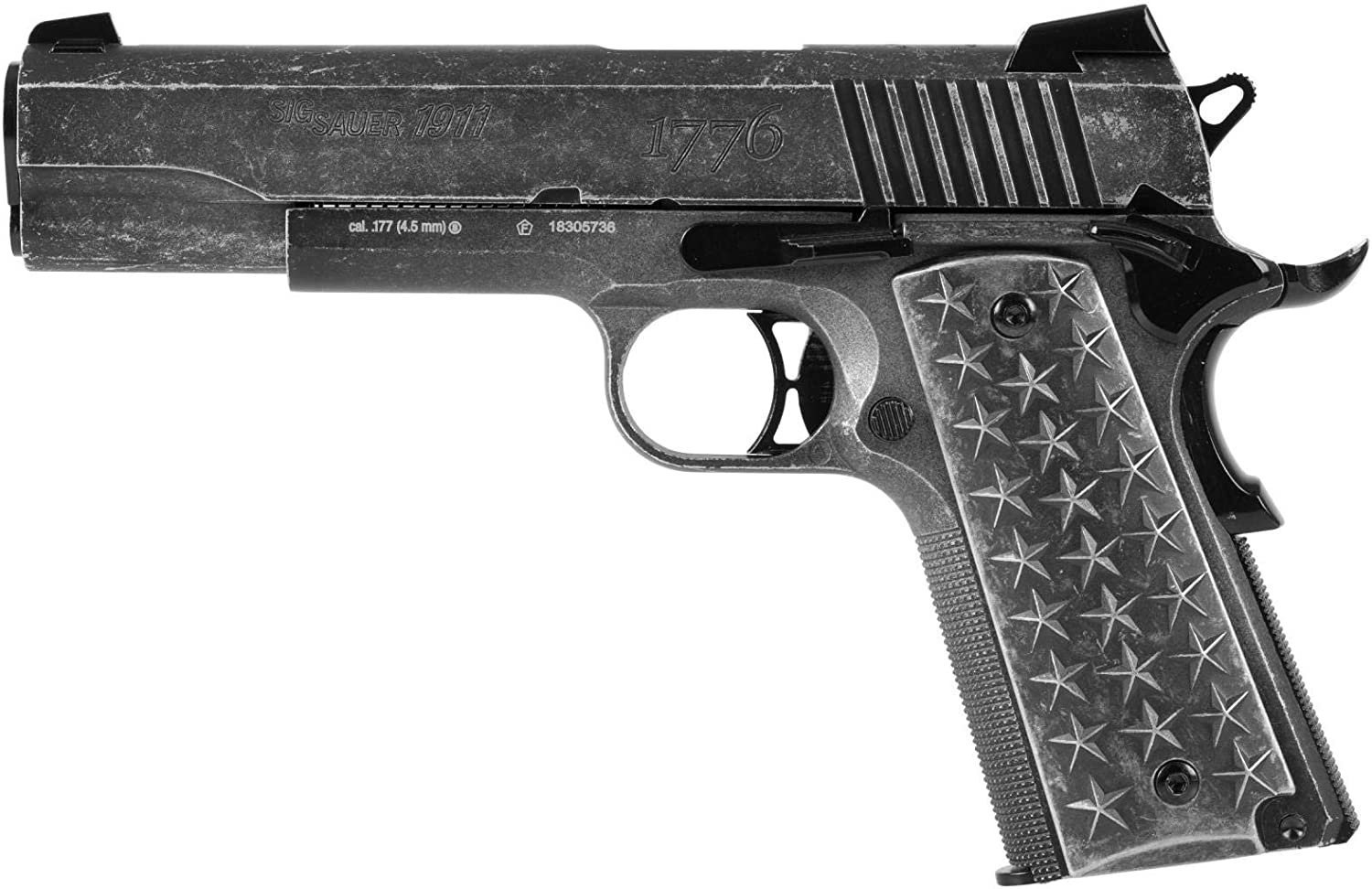 SIG SAUER 1911 WE THE PEOPLE BLOWBACK HAVALI TABANCA
