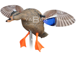 MOTORLU YEŞİLBAŞ ÖRDEK MÜHRESİ