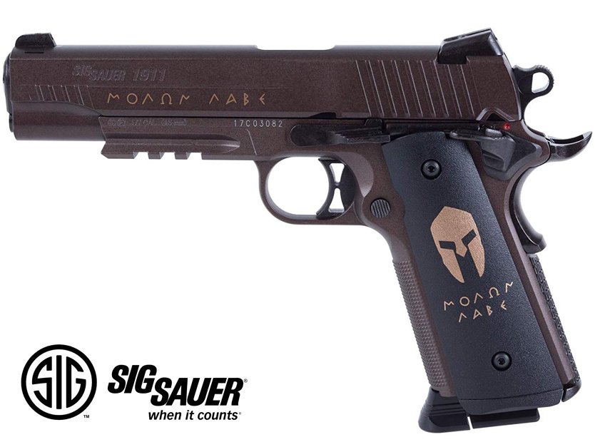 SIG SAUER 1911 SPARTAN BLOWBACK HAVALI TABANCA