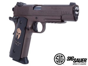 SIG SAUER 1911 SPARTAN BLOWBACK HAVALI TABANCA
