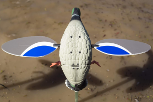MOJO BABY DRAKE ERKEK MOTORLU ÖRDEK MÜHRESİ