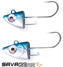 Savage gear 3D Sardine Jigheads 10 cm #1/0 2 Pcs 15 gram