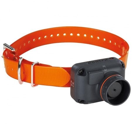 DOGTRA STB HAWK BEEPER TASMA