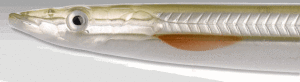 Savage gear B-SG Line Thru Sandeel 125mm 19g