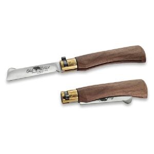 OLD BEAR 19 CM GRAFTING ASI ÇAKI CEVIZ SAP 7 1/2''M
