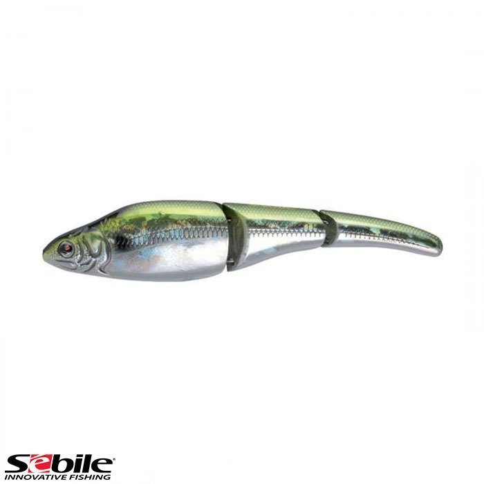 SEBILE Magic Swimmer MS-GL-NO-110-FSK-D9