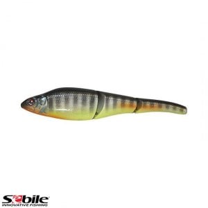 SEBILE Magic Swimmer MS-GL-NO-110-FSK-NTY