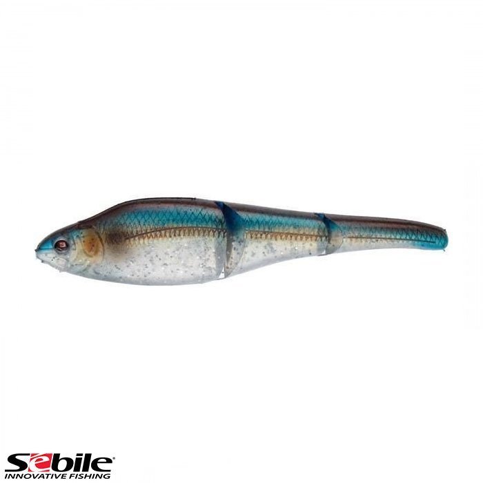 SEBILE Magic Swimmer MS-GL-NO-110-FSK-NBBH